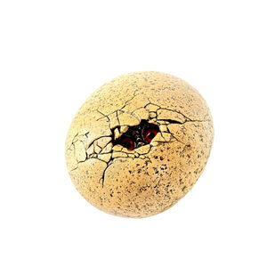 Windstone Editions Hatching Dragon / Gargoyle Egg With Eyes - Peña 1994